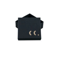 Boucles D'oreilles Pensée Violettes - Cécile Boccara -Mode Accessoires Magasin 75536 xl