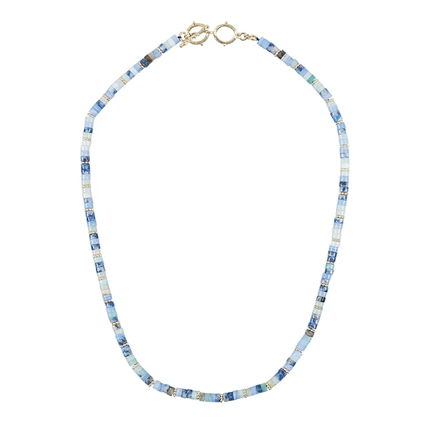 Collier De Bactriane 1 Collier De Bactriane